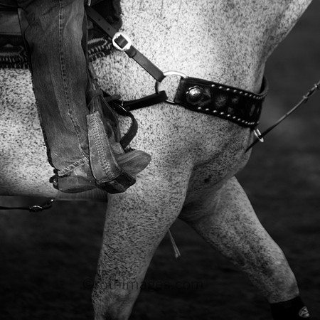 _MG_5963 - 2014-08-01 at 19-57-59 (2)