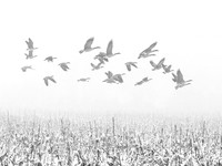 edited in photoshop-1538