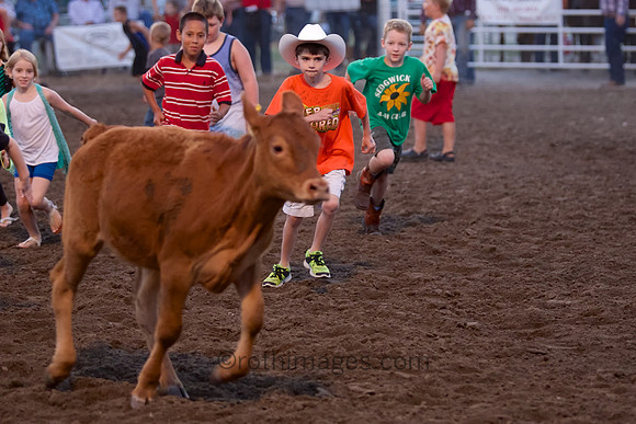 _MG_6207 - 2014-08-01 at 20-48-27