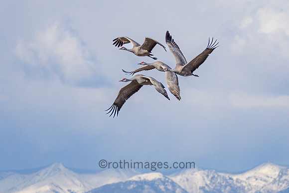 The Siege At Altitude