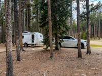 Lamar's National Forest Camping Site in the Big Horn Mt. Range (WY)