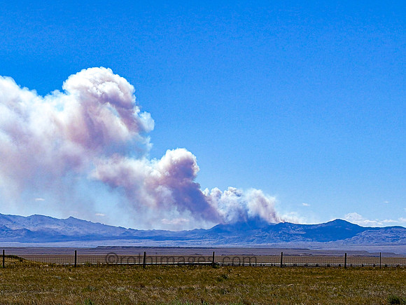 Forest Fire in the Big Horn Mountains (south range)