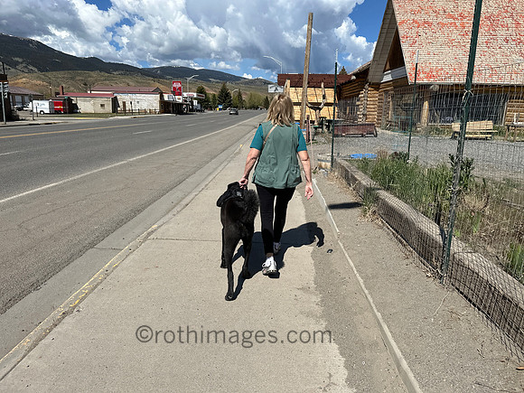 Out for a walk in Debois, WY