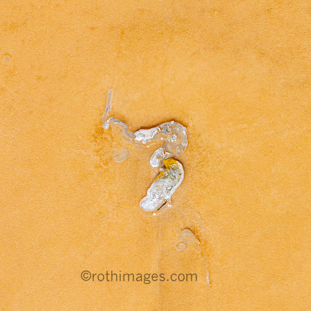 more thermophiles at the Old Faithful Site