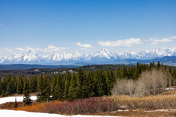 First glimpse of the Grand Tetons close to the park entrance.