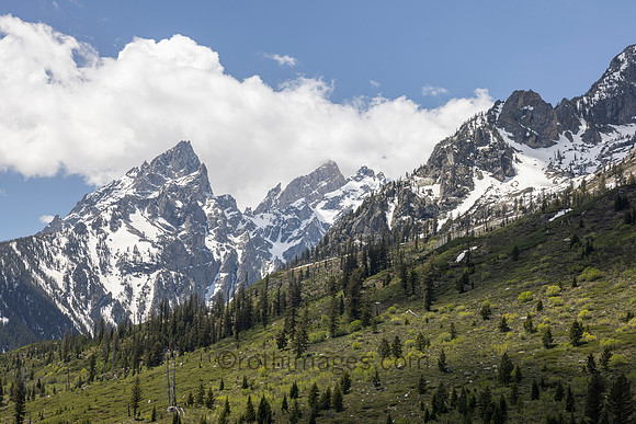 grand tetons