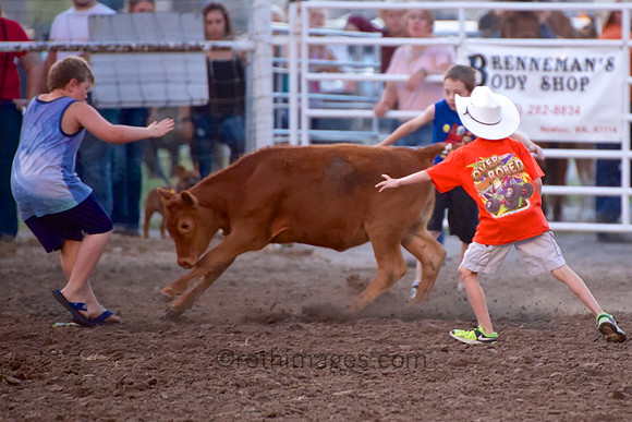 _MG_6199 - 2014-08-01 at 20-47-59