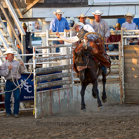 _MG_6027 - 2014-08-01 at 20-17-03