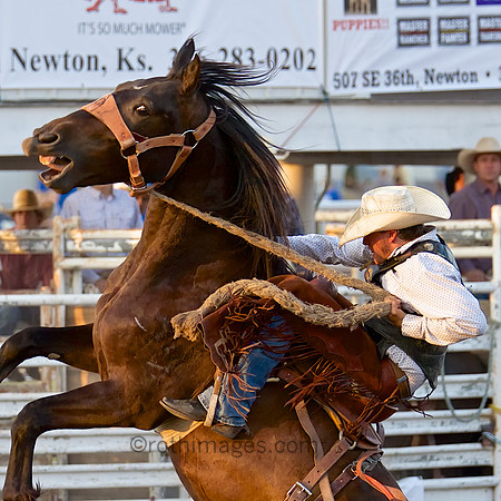 _MG_6040 - 2014-08-01 at 20-17-08 - Version 2